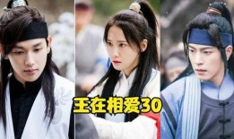 王在相爱在线观看,浪漫宫廷恋曲在线观看指南